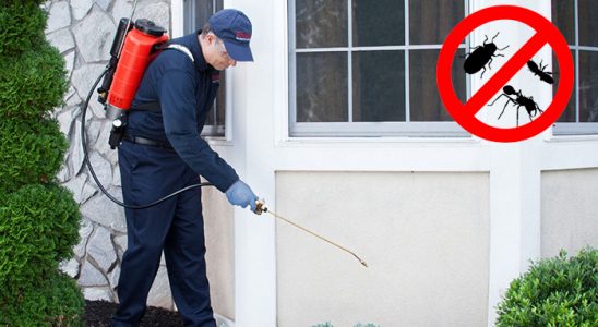 Pasinler Böcek İlaçlama böcek ilaçlama ve haşere kontrolü — ilaclama-tr.com